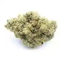 Corleone Kush Marijuana Strain