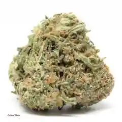 Critical Mass Marijuana Strain