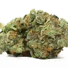 Death Star OG Marijuana Strain