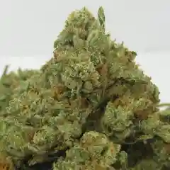 Diamond OG Marijuana Strain