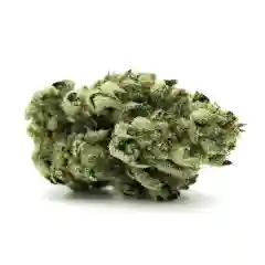 Diamond OG marijuana