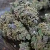 DJ Short Blueberry - True Blueberry Marijuana Strain