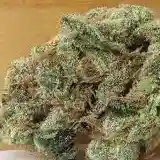 Dogwalker OG Marijuana Strain