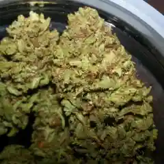 Emerald OG - Emerald OG Kush - Emerald Kush Marijuana Strain