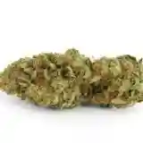 Fire Haze Marijuana Strain