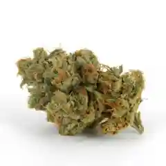 Fire OG - Fire OG Kush Marijuana Strain
