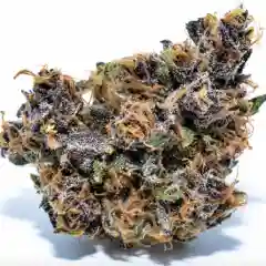 Forbidden Fruit marijuana