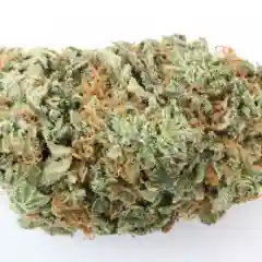 G13 - G-13 marijuana