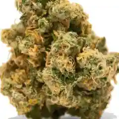G13 - G-13 marijuana