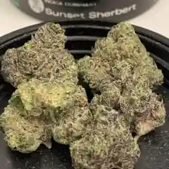 Girl Scout Cookies - GSC marijuana