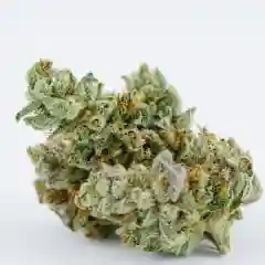 Gorilla Glue #4 - Original Glue - GG4 marijuana
