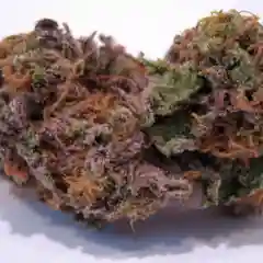 Granddaddy Purple - GDP - Granddaddy Purp Marijuana Strain