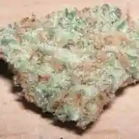 Green Crack Extreme Marijuana Strain