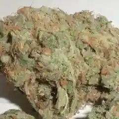 Green Dream Marijuana Strain
