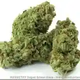 Green Haze Marijuana Strain