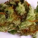 Green Hornet Marijuana Strain