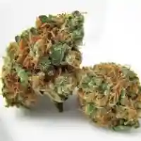Hawaiian Marijuana Strain
