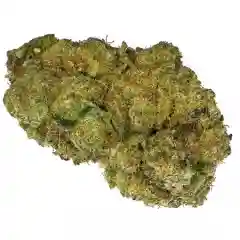 Hawaiian Punch Marijuana Strain