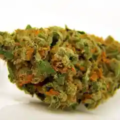 Jack Haze Marijuana Strain