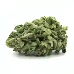 Jupiter OG Marijuana Strain