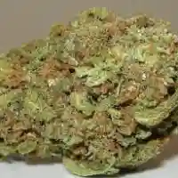 K Train Marijuana Strain