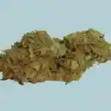 Kaboom Marijuana Strain
