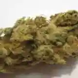 Kali Mist Marijuana Strain