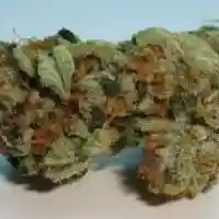 Kryptonite Marijuana Strain