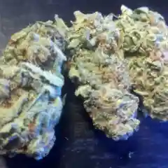 Lemon Diesel Marijuana Strain