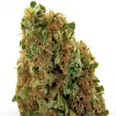 Lemon OG marijuana