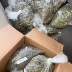 Cherry Pie marijuana