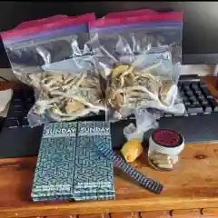 Skunk #1 - Original Skunk #1 marijuana