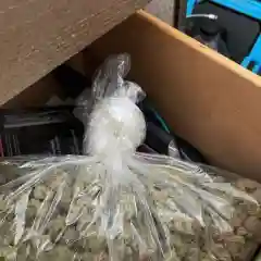 Rare Dankness #1 Marijuana Strain