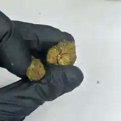 Blue Dream marijuana