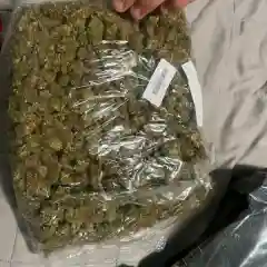 Afgoo - Afghan Goo - Afgooey marijuana