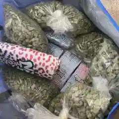 Cherry Pie Marijuana Strain