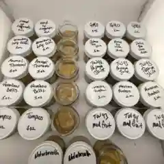 White Kush marijuana