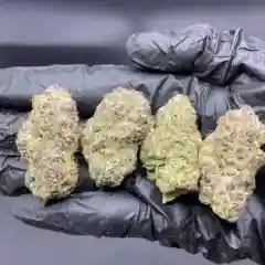 Girl Scout Cookies - GSC marijuana