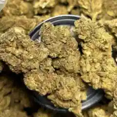 Blueberry marijuana