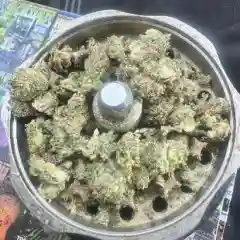 Bubba Kush Marijuana Strain