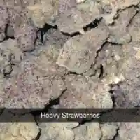 Strawberry Kush Marijuana Strain