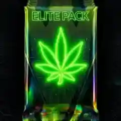 Jack Herer Marijuana Strain