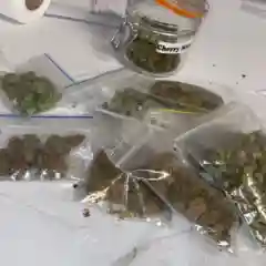 Abusive OG Kush marijuana