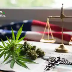 Federal Marijuana Reclassification Leaves Medical Users in Legal Limbo on Jobs and Housing