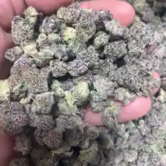 $100 OG marijuana
