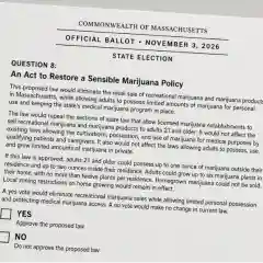 Voters Face Distinct Marijuana Choices in Massachusetts, Idaho, and Houston