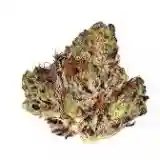Nepali OG - Nepal Kush Marijuana Strain