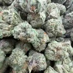 NYC Diesel - New York Diesel - Soma Sour Diesel Marijuana Strain