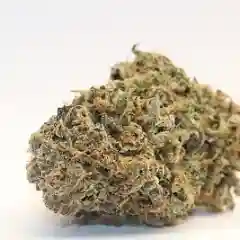 Orange Dream Marijuana Strain