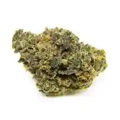 Ortega Marijuana Strain